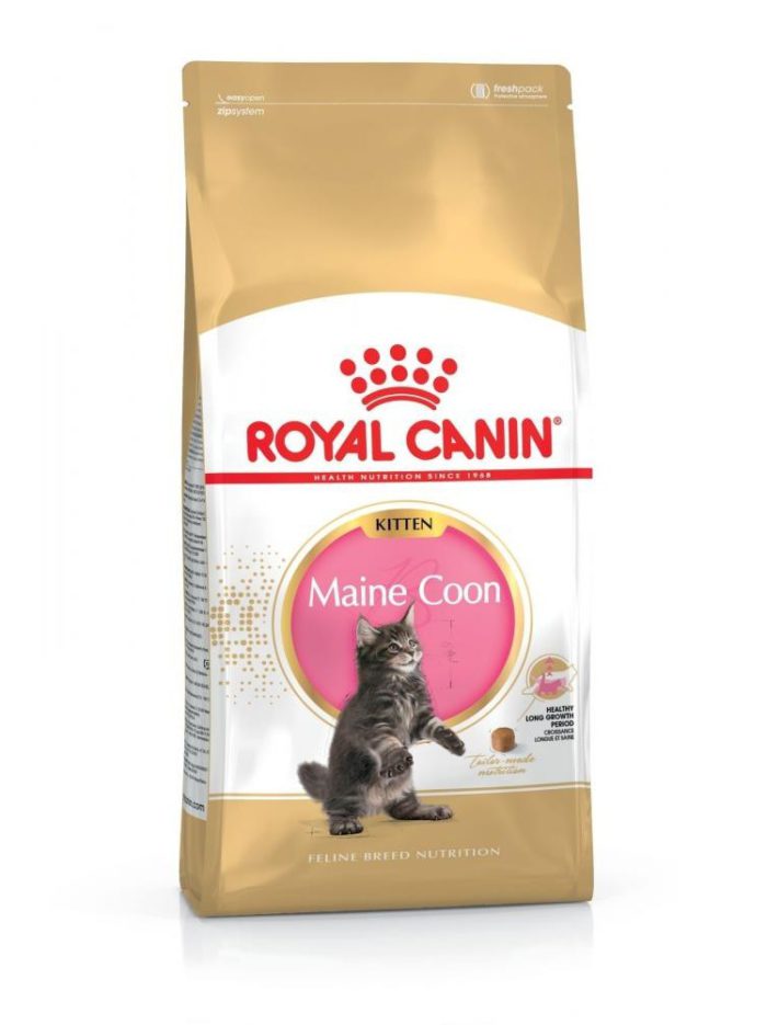 2241917713 royal canin maine.jpg
