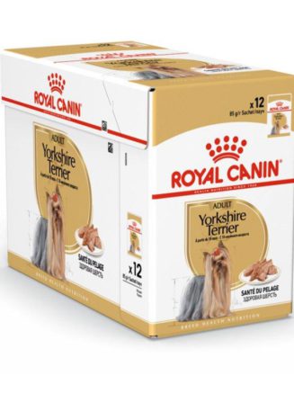2918062134 royal canin yorkshire.jpg