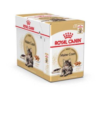 2918930138 royal canin maine.jpg