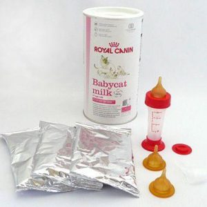 3135251554 royal canin baby.jpg