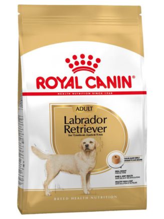 3488635907 royal canin labrador.jpg