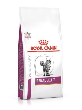 3533910627 royal canin renal.jpg