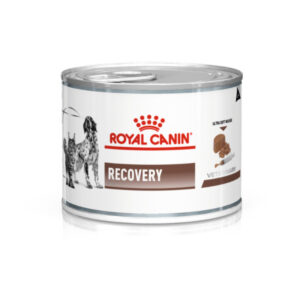 3604524360 royal canin recovery.jpg