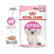 3952169395 royal canin kitten.jpg