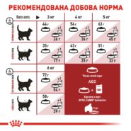 4004009368 royal canin fit.jpg