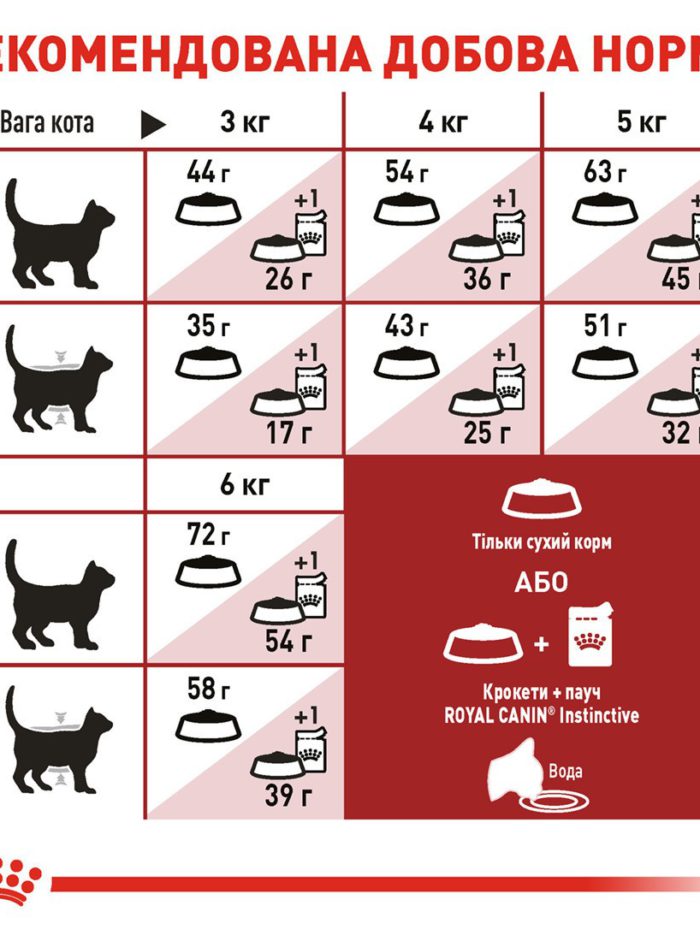 4004009368 royal canin fit.jpg