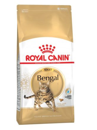 4054180079 royal canin bengal.jpg