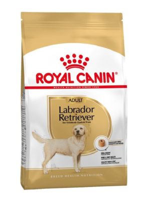 4169247178 royal canin labrador.jpg