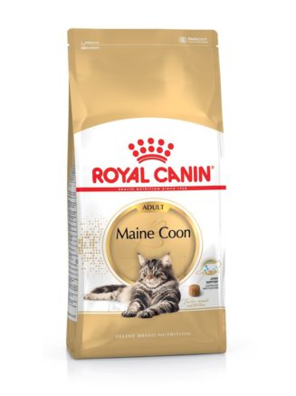 Royal Canin Maine Coon