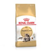 4294277033 royal canin maine.jpg