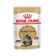 4294289918 royal canin maine.jpg