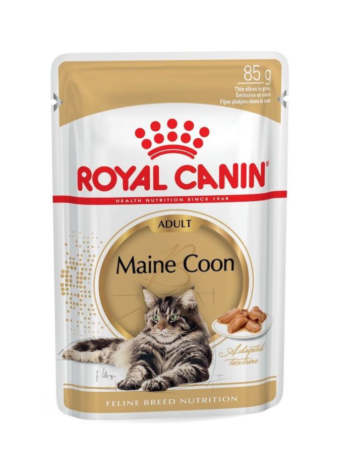 4294289918 royal canin maine.jpg