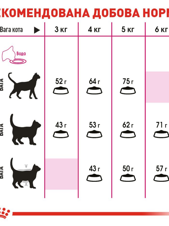 4336174905 royal canin protein.jpg