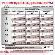 4336203140 royal canin gastrointestinal.jpg