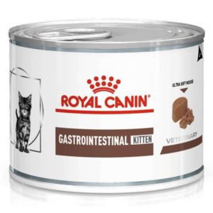 4336279936 royal canin gastrointestinal.jpg