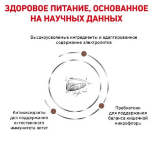 4336284292 royal canin gastrointestinal.jpg