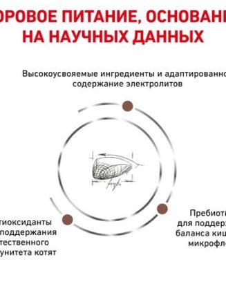 4336284292 royal canin gastrointestinal.jpg