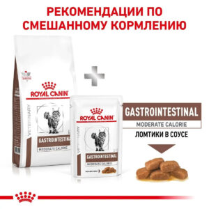 4337216280 royal canin gastrointestinal.jpg