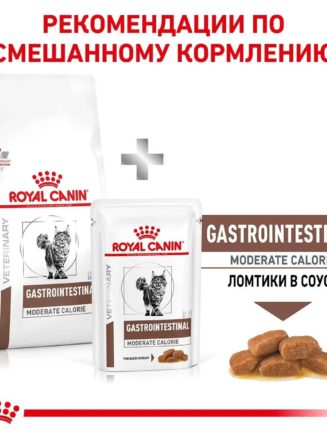 4337216280 royal canin gastrointestinal.jpg