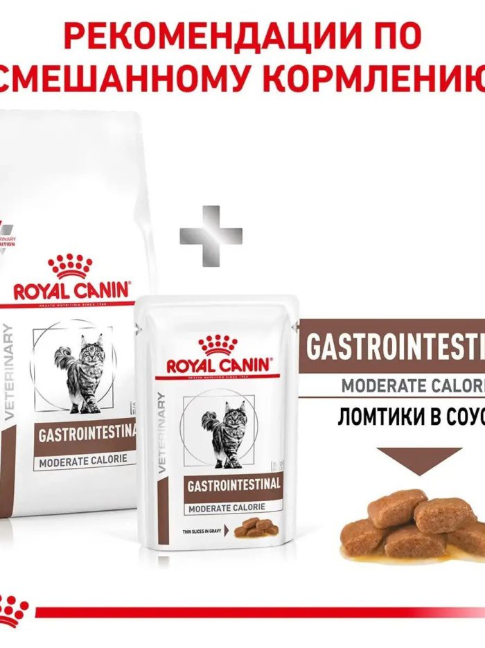 4337216280 royal canin gastrointestinal.jpg