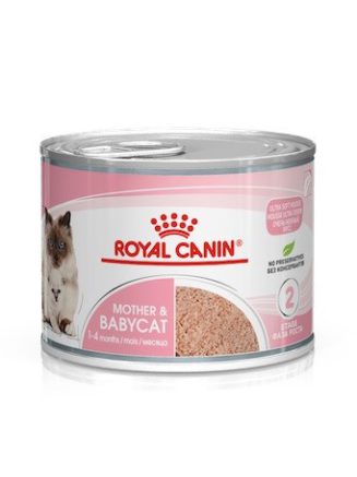 4337610563 royal canin babycat.jpg