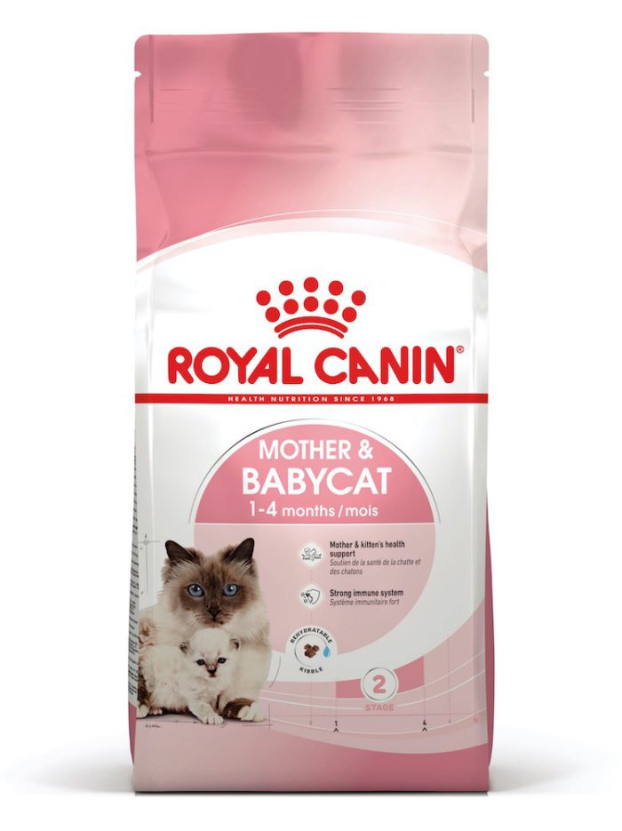 4337726627 royal canin babycat.jpg