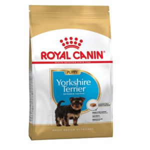 4340969812 royal canin yorkshire.jpg