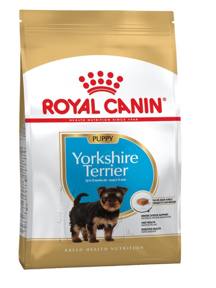 4340969812 royal canin yorkshire.jpg
