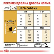 4465095514 royal canin jack.jpg
