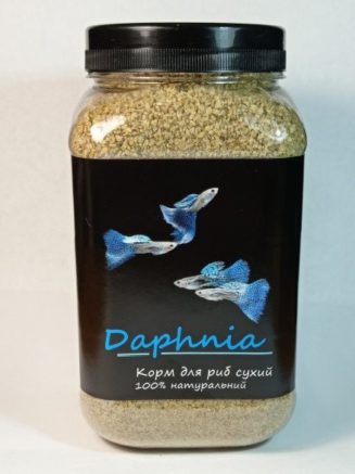 4221932786 busya daphnia dafniya.jpg