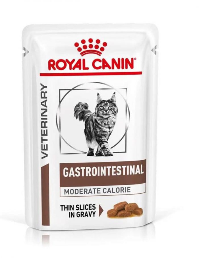 4762227910 royal canin gastrointestinal.jpg