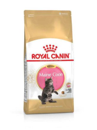 4762405575 royal canin maine.jpg