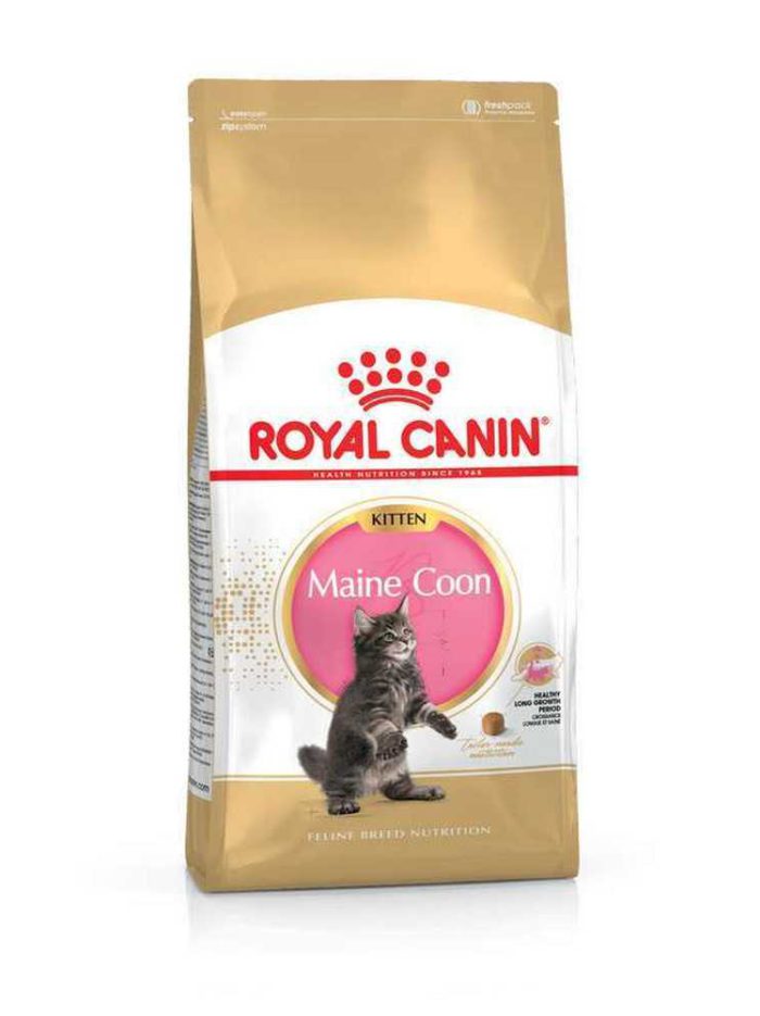 4762405575 royal canin maine.jpg
