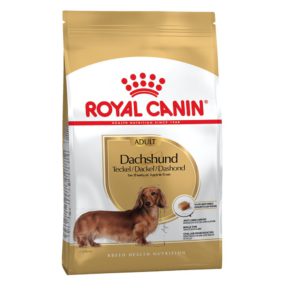 4791181719 royal canin dachshund.jpg