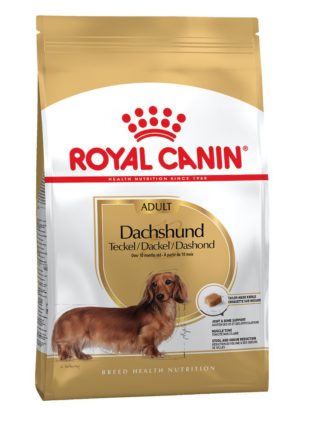 4791181719 royal canin dachshund.jpg