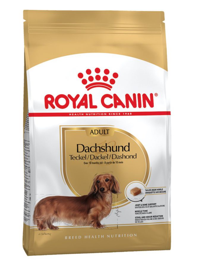 4791181719 royal canin dachshund.jpg