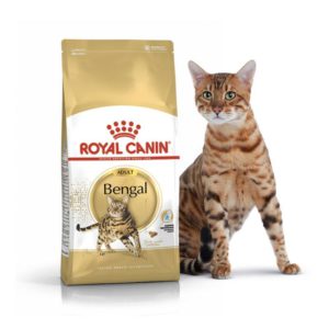 4793185796 royal canin bengal.jpg