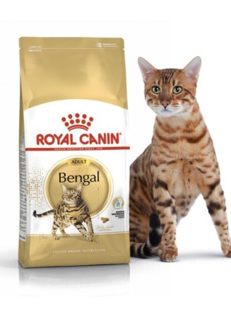 4793185796 royal canin bengal.jpg