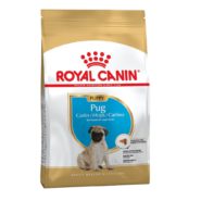 4797689247 royal canin pug.jpg