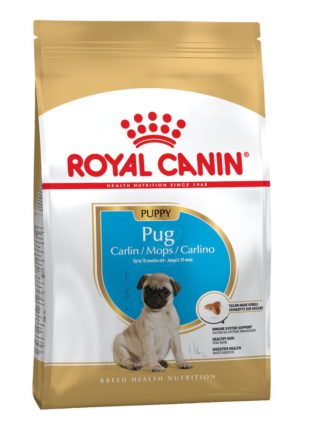 4797689247 royal canin pug.jpg