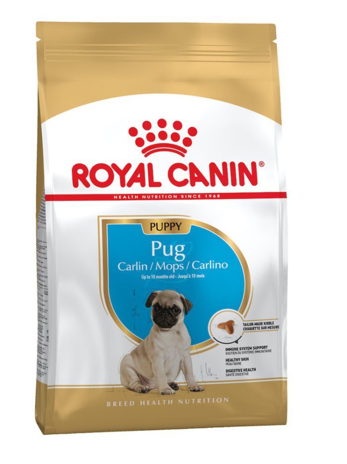 4797689247 royal canin pug.jpg