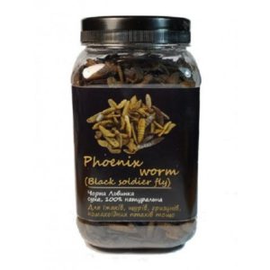 4296945642 busya phoenix worm.jpg