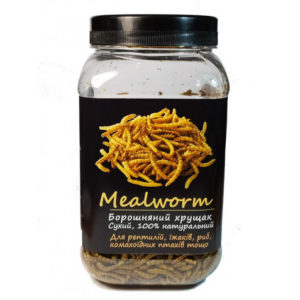 4296949658 busya mealworm muchnoj.jpg
