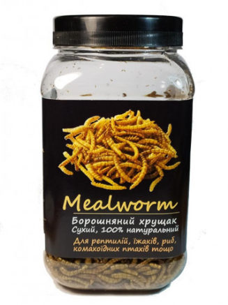 4296949658 busya mealworm muchnoj.jpg