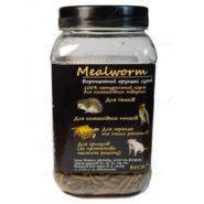 4296949659 busya mealworm muchnoj.jpg