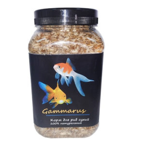 4296959035 busya gammarus gammarus.jpg