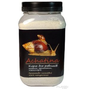 4762567660 busya achatina ahatin.jpg