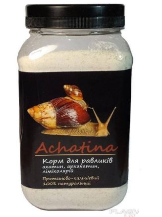 4762567660 busya achatina ahatin.jpg
