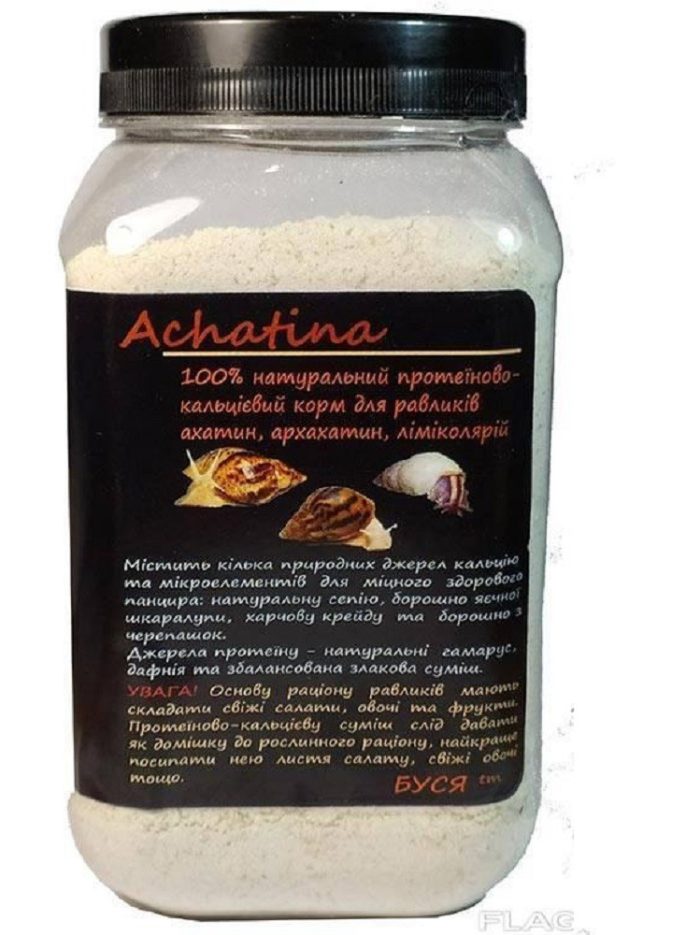 4762567663 busya achatina ahatin.jpg