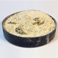 4762601154 busya cnail ulitka.jpg